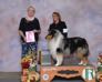 Eli is ranked number 8 for rough collies in the OH series