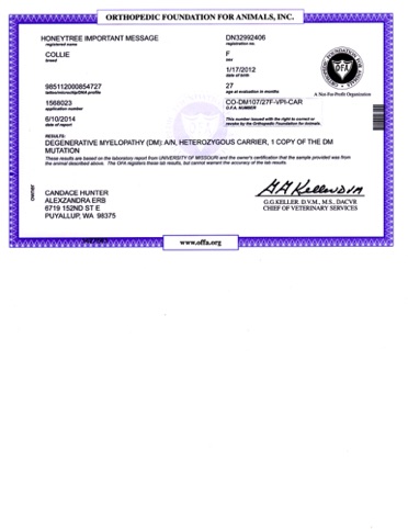 Message OFA DM certificate