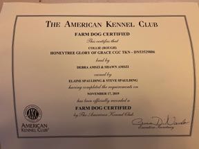 GloryCertificateTitleFarmDogIMG_1311.jpeg